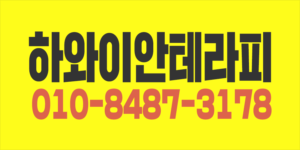 수원 영통 광교 테라피샵/여자 테라피스트 모집/주간(2명) 야간(2명) 주말(2명) 상주가능