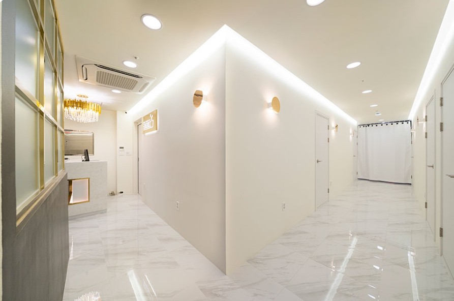 동탄 레몬테라피 페이 7/9 (관리쌤,실장님 구합니다)