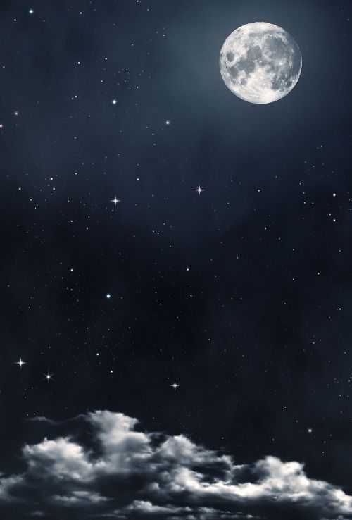 스크럽 관리사 구합니다