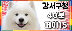 <오늘오픈> <페이15까지> 강서구청 핑크문 스웨디시